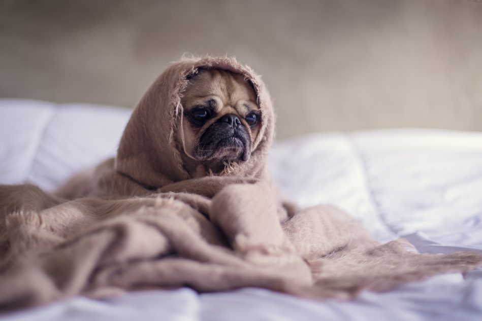 electric blankets